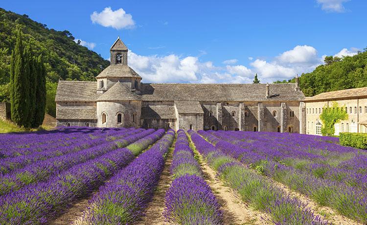 Le Mas Des Armouriers Violes ภายนอก รูปภาพ